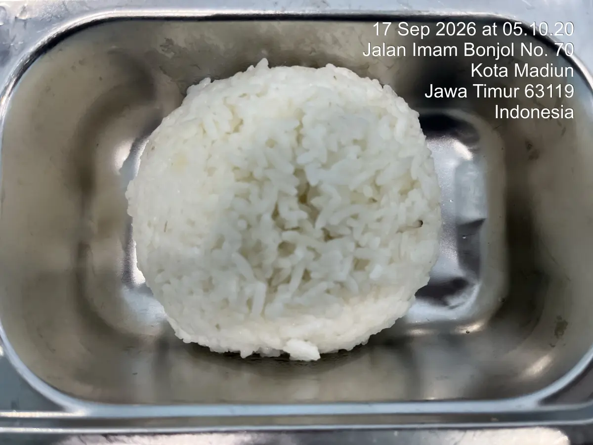 Nasi putih