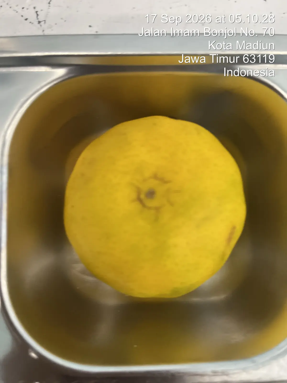 Buah jeruk