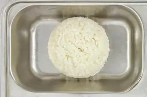 Nasi Putih