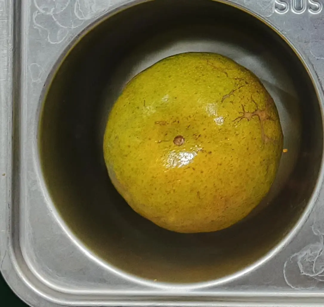 Buah jeruk