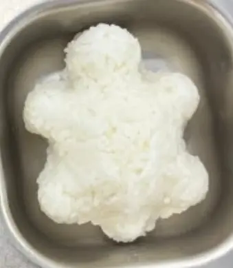 Nasi putih
