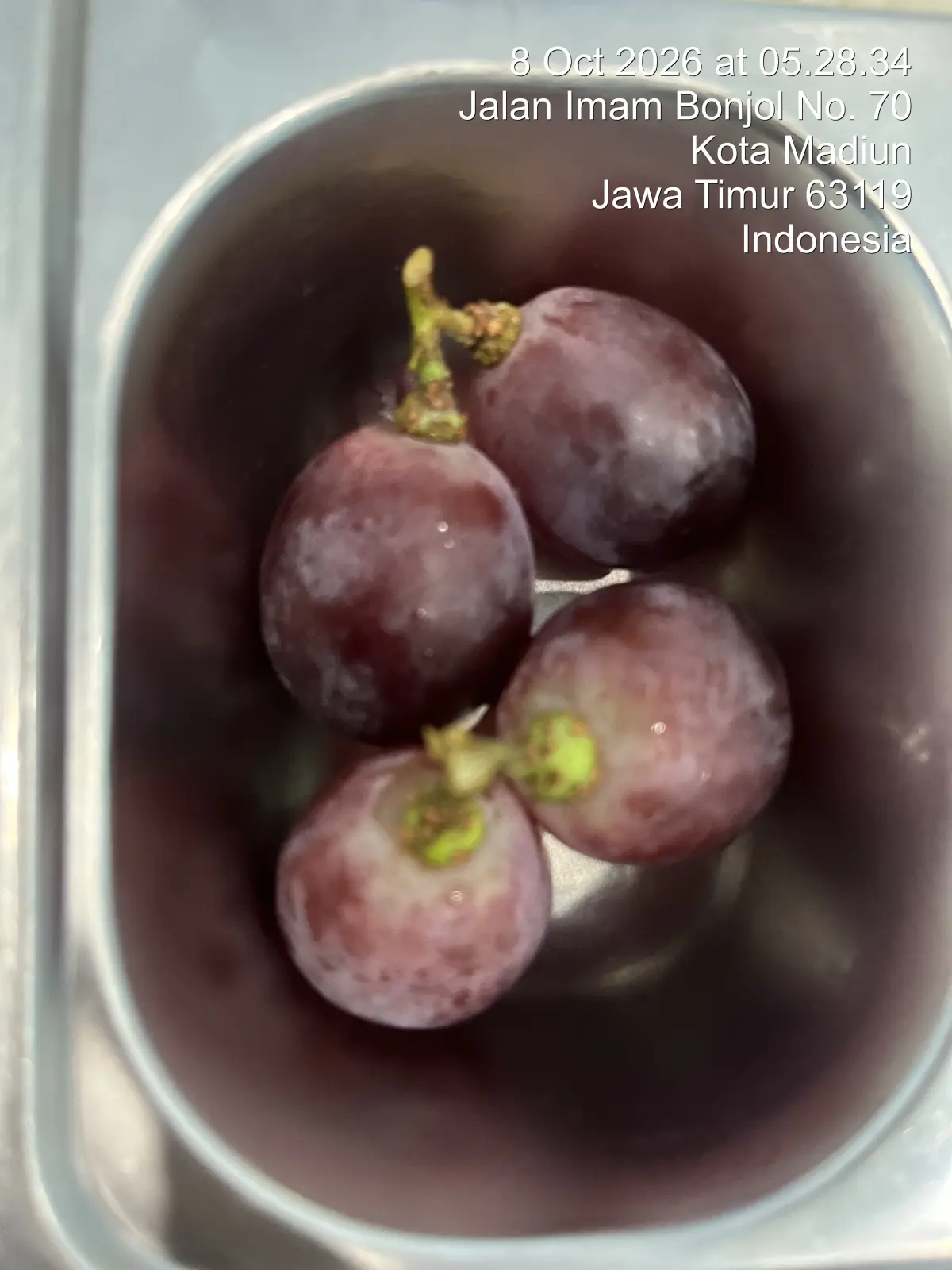 Buah Anggur