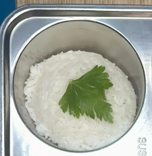 Nasi Putih