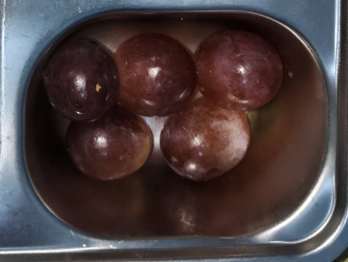 BUAH ANGGUR