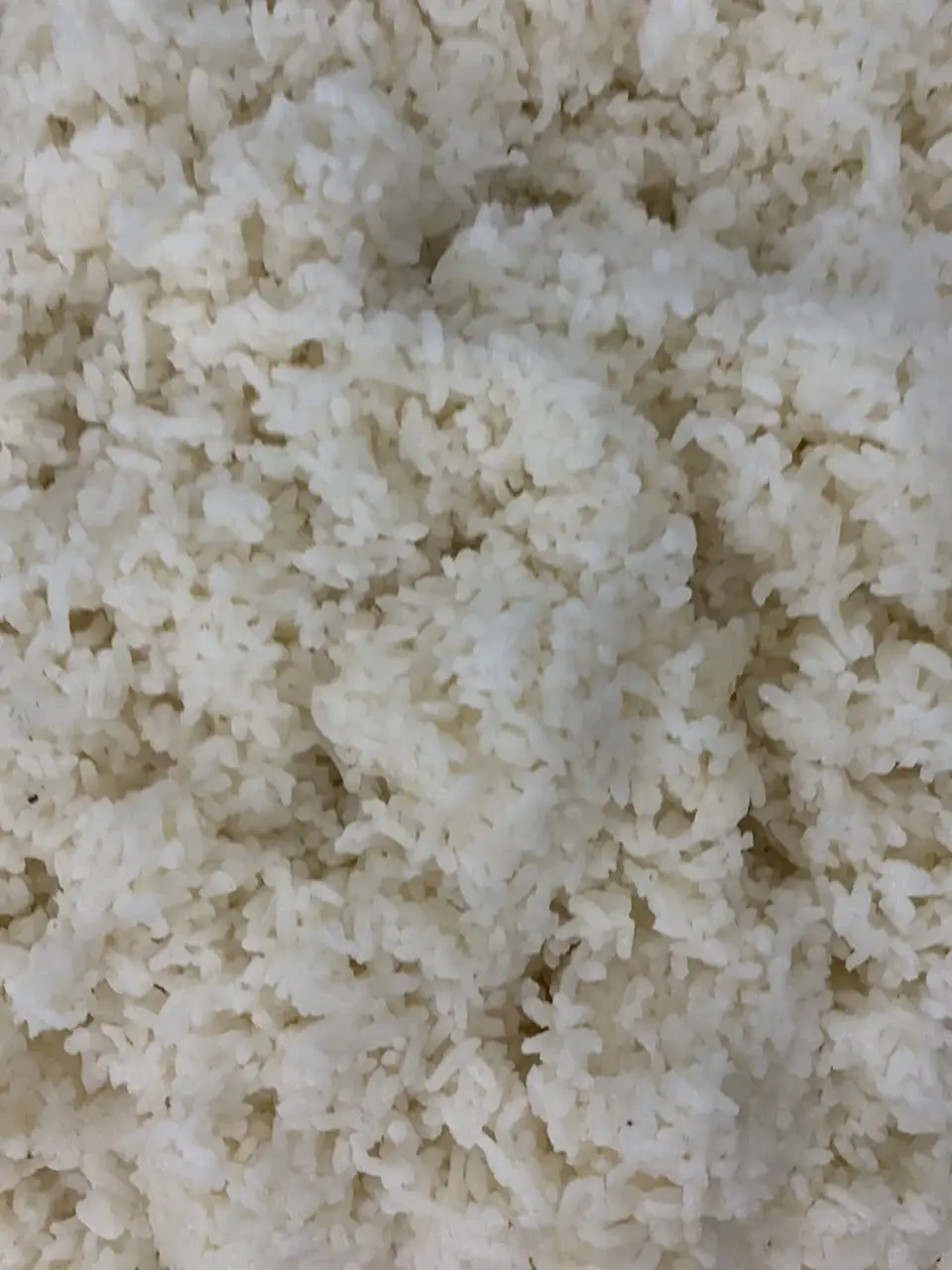 Nasi Putih